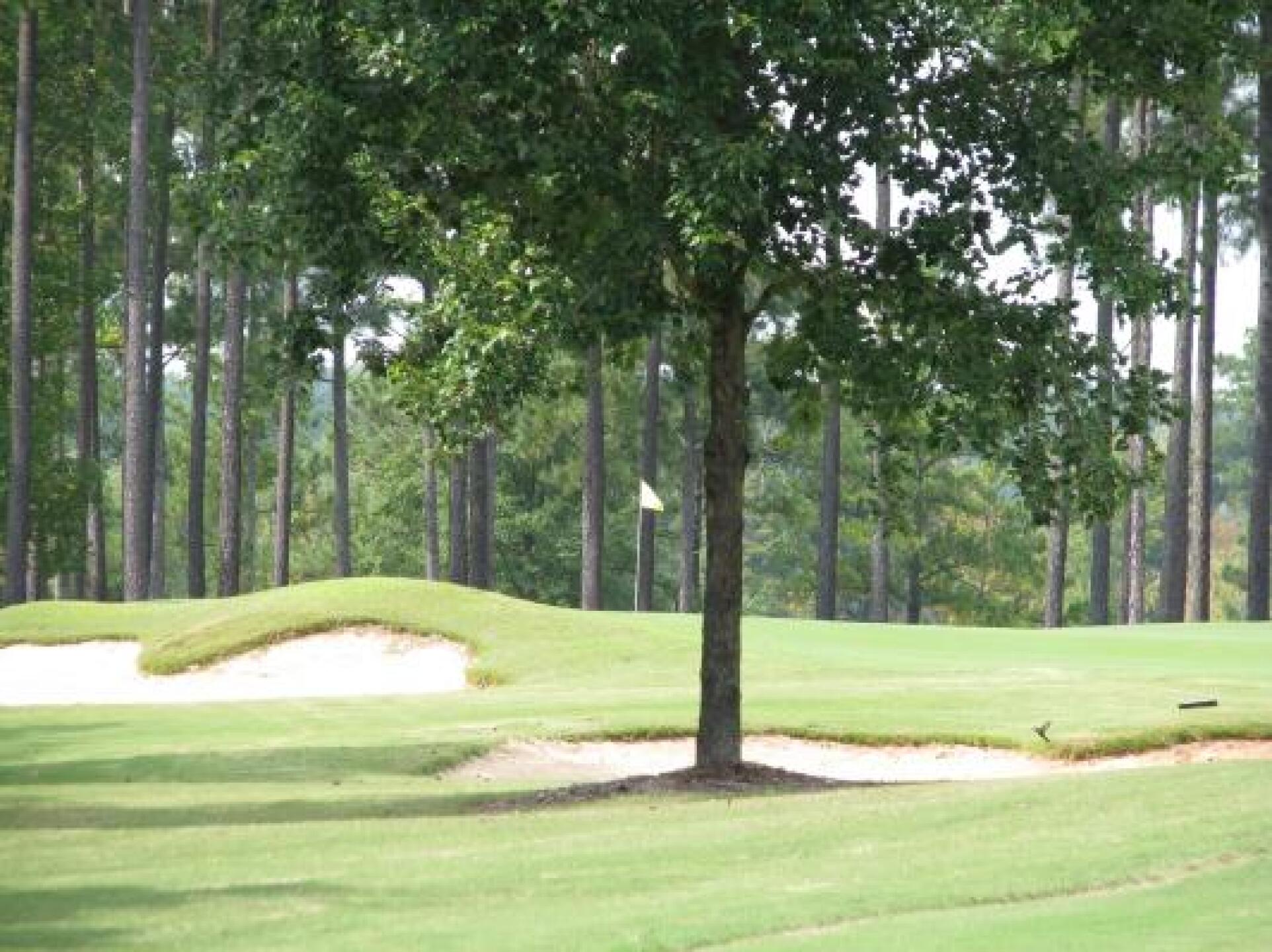 (Photo submitted by MikeKline on 10/08/2012)