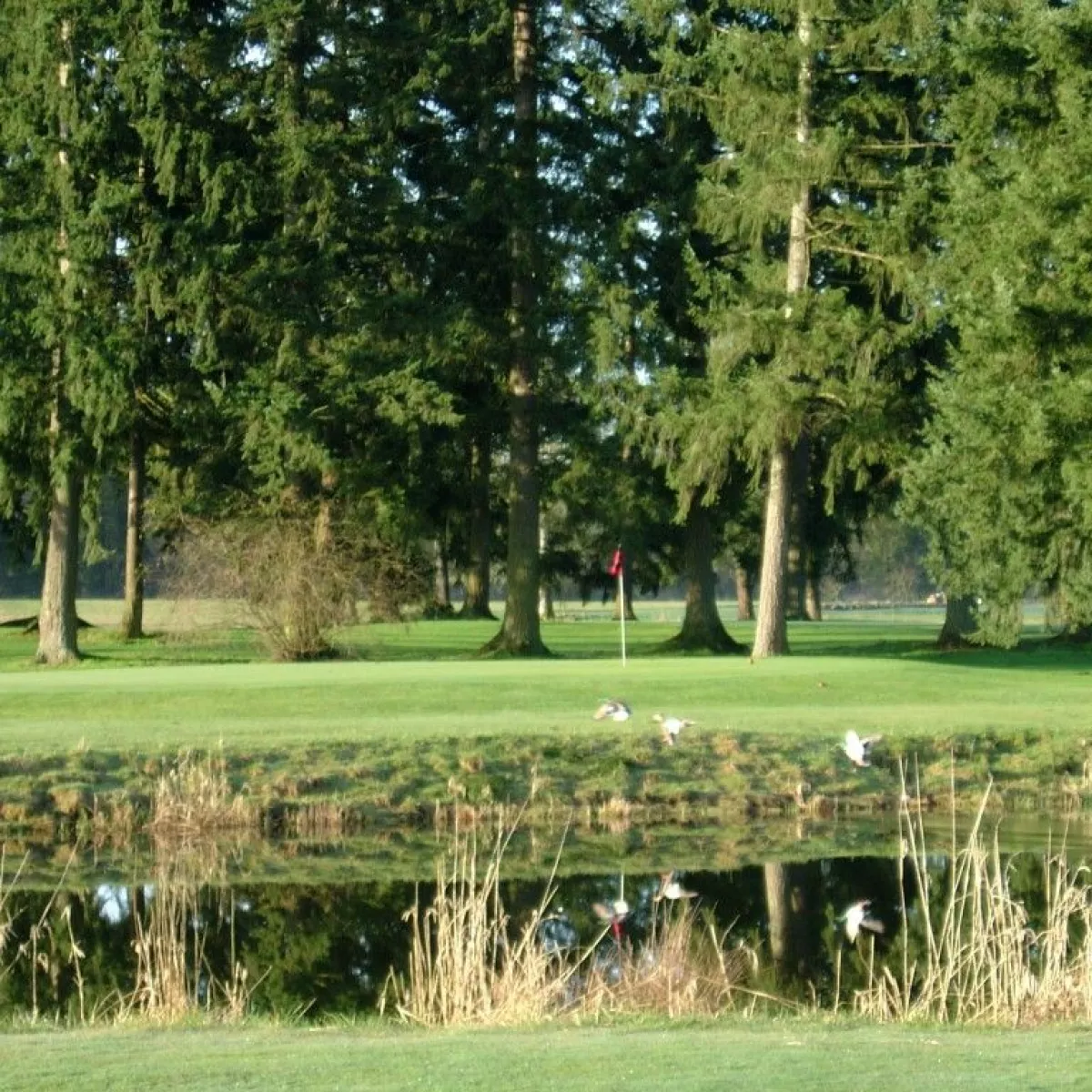 Hartwood Golf Course in Brush Prairie, Washington, USA GolfPass