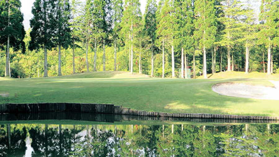 Rio Fujiwara CC