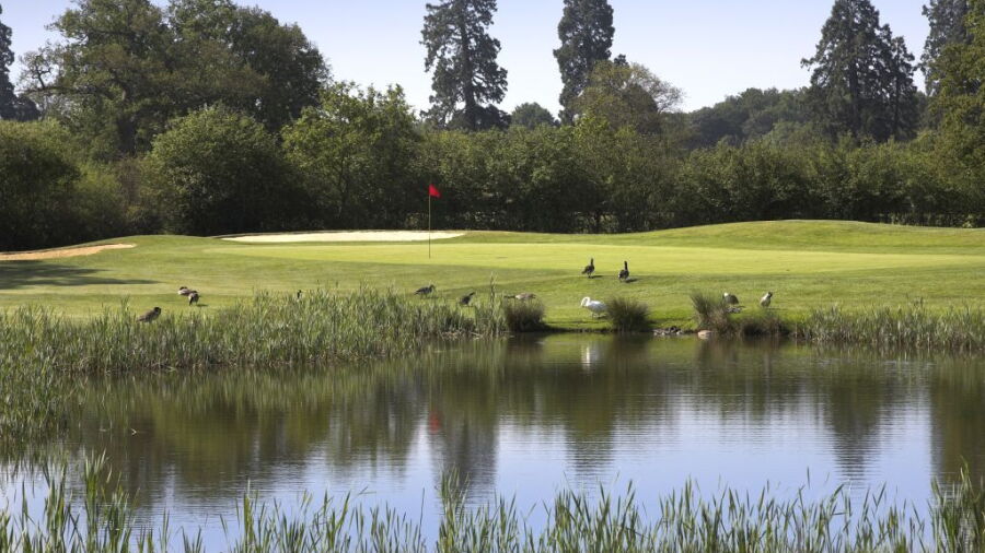 Hartley Wintney: #14