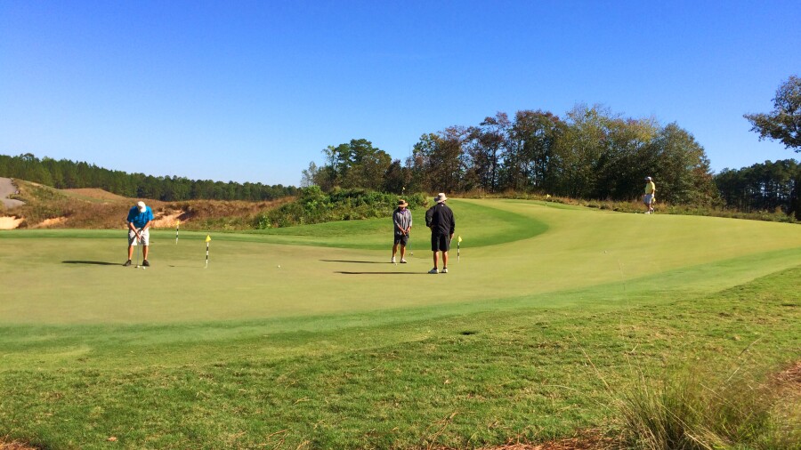 Tobacco Road - putting green