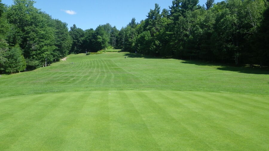 Dunany CC