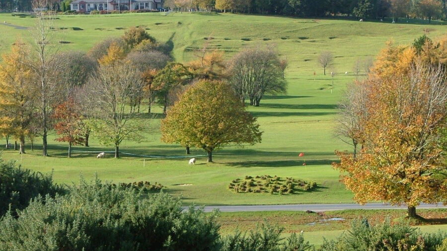 Royal Curragh GC: #1