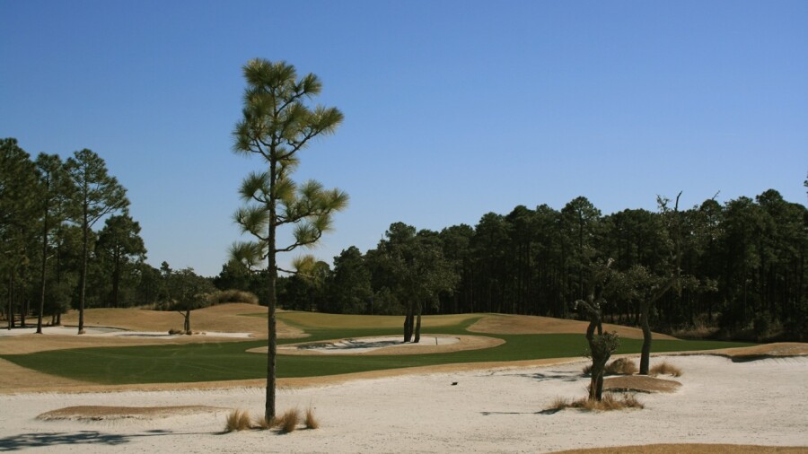 Tiger's Eye Golf Links at Ocean Ridge Plantation - No. 4