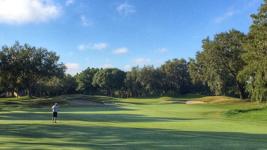 TPC Tampa Bay golf course - No. 7
