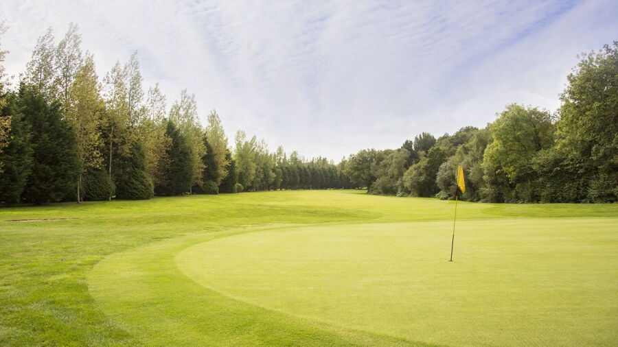 The Bulbury Woods golf course