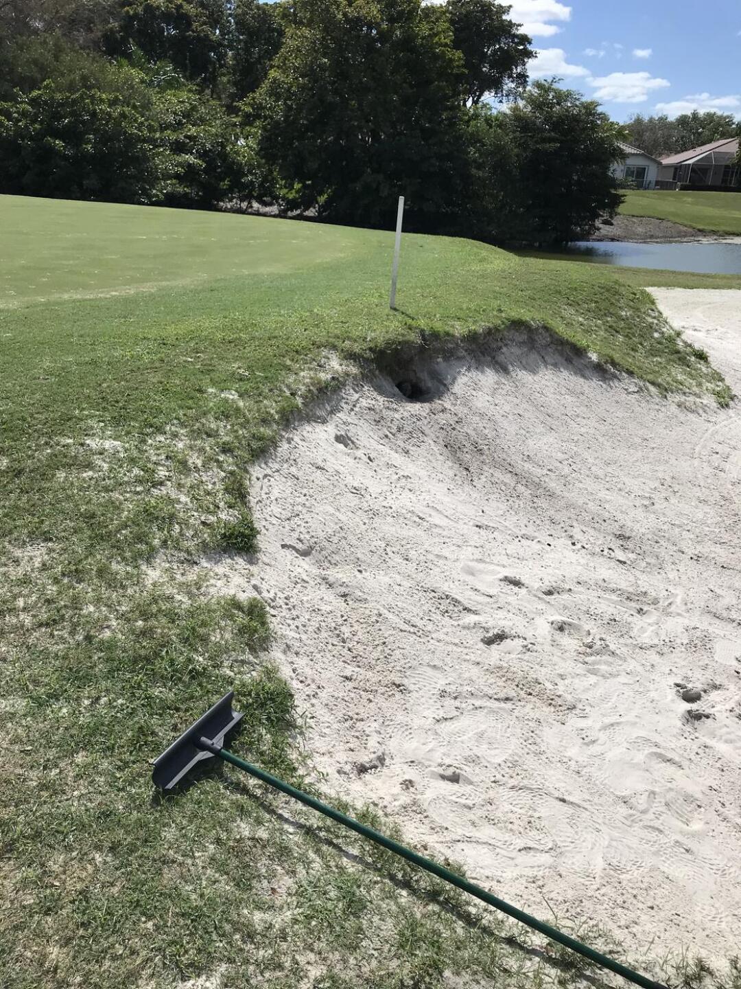 Burrowing Owl Nest - Hole 15 (Photo submitted by lcbgolf on 03/03/2022)