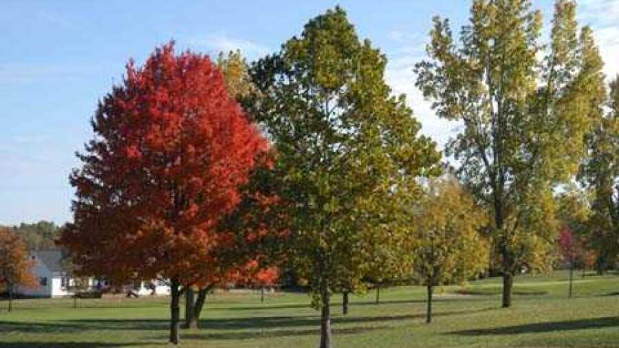 Plymouth CC: #4