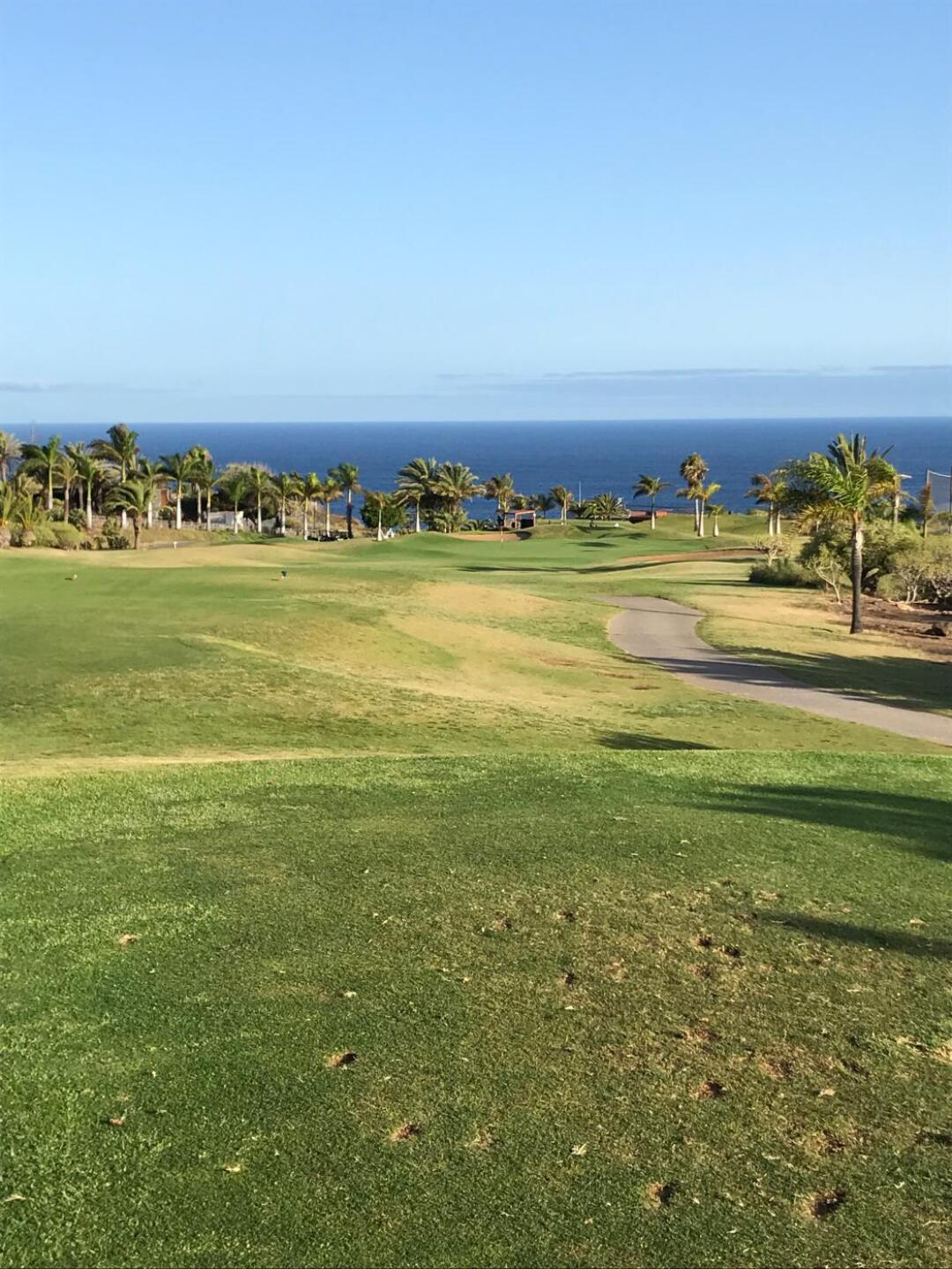 (Photo submitted by rtc8291 on 09/01/2019)