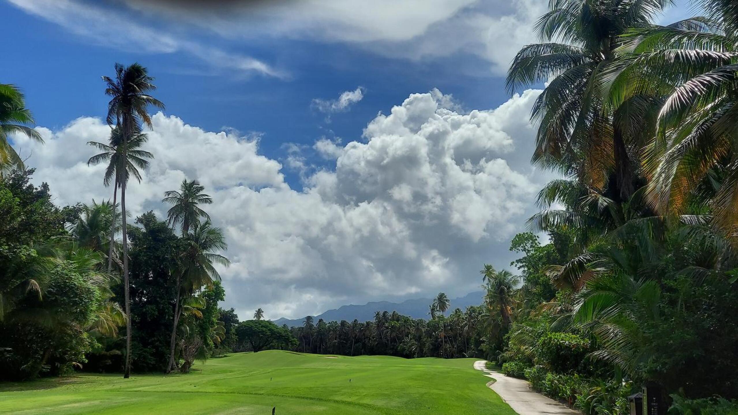 (Photo submitted by Cigala on 01/26/2021)