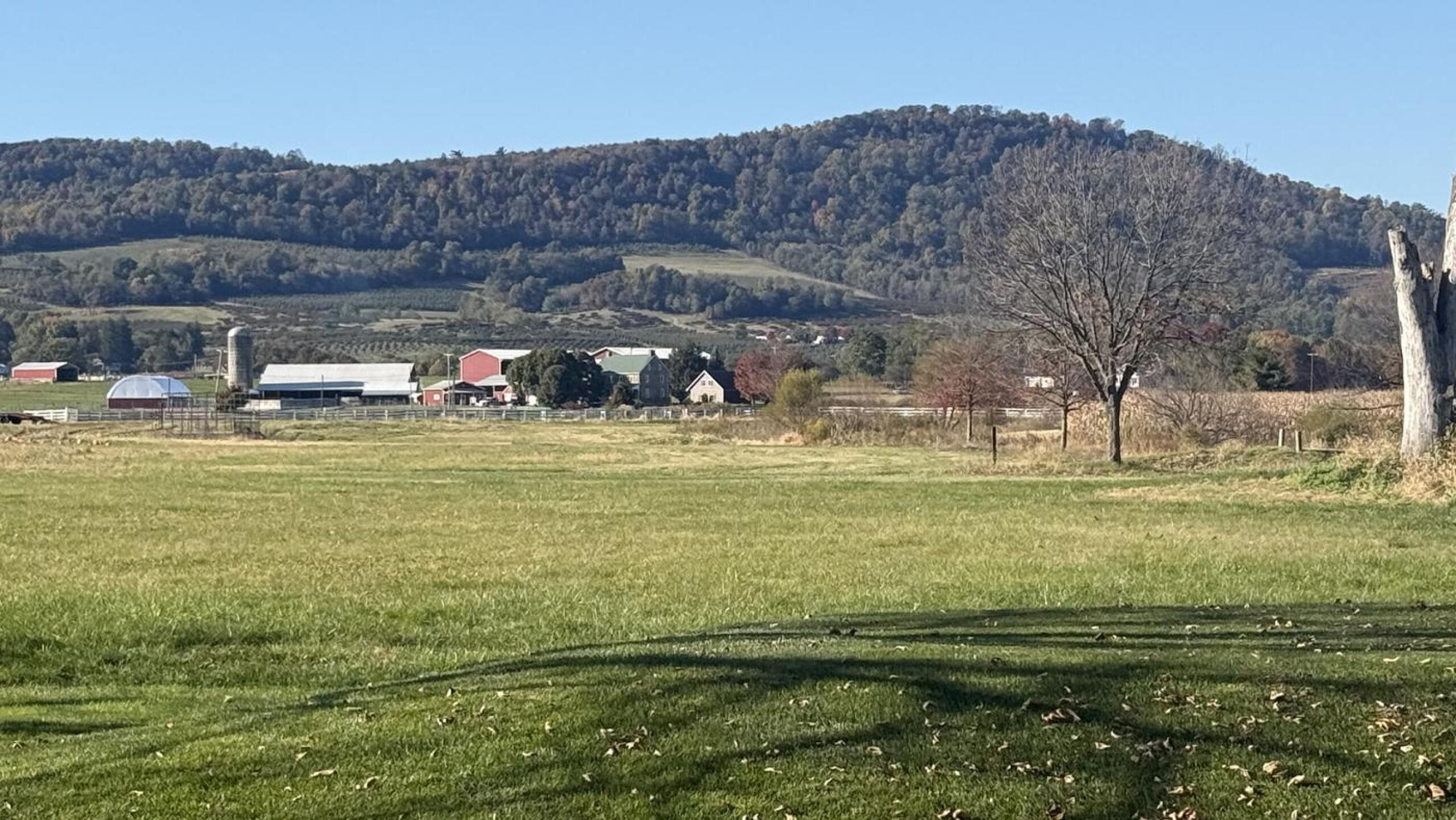 Beautiful view from #8 green (Photo submitted by BYoung825 on 10/25/2026)
