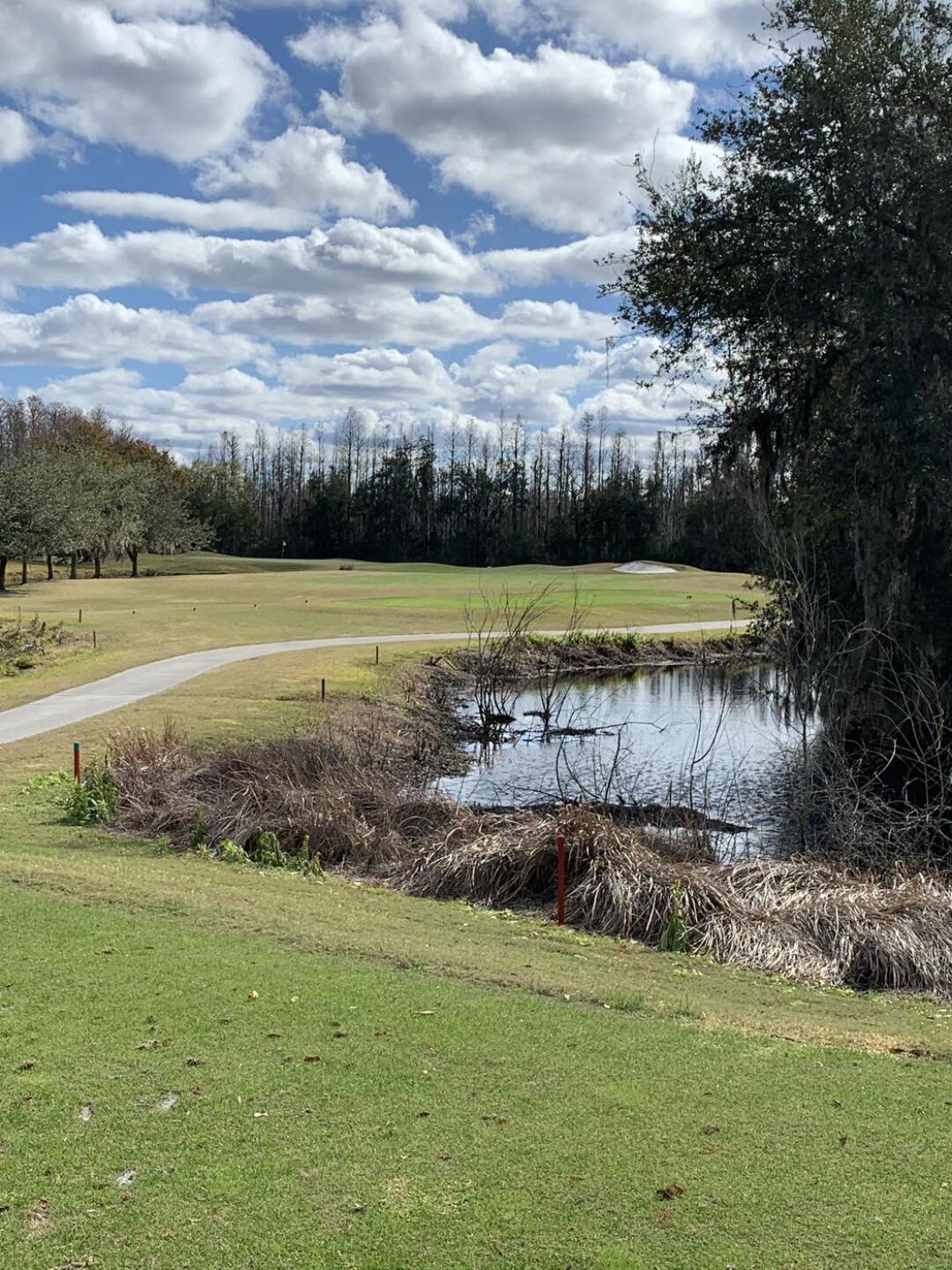 (Photo submitted by dtowngolf22 on 12/28/2020)