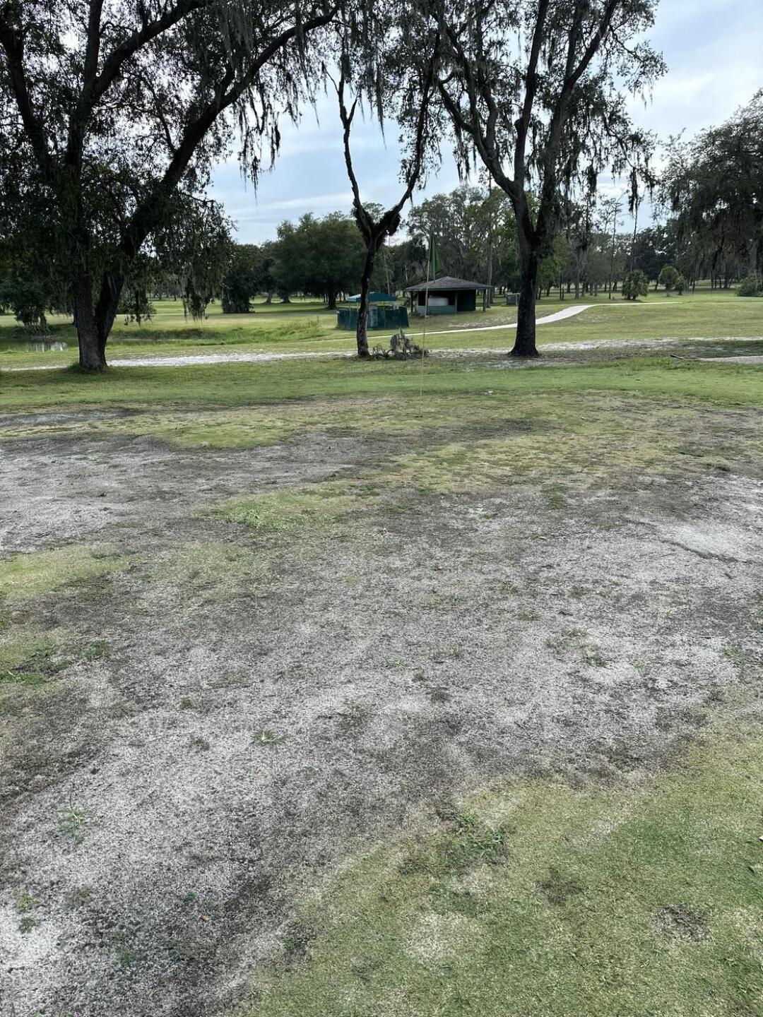 This is an actual green (Photo submitted by u061505298 on 06/21/2023)