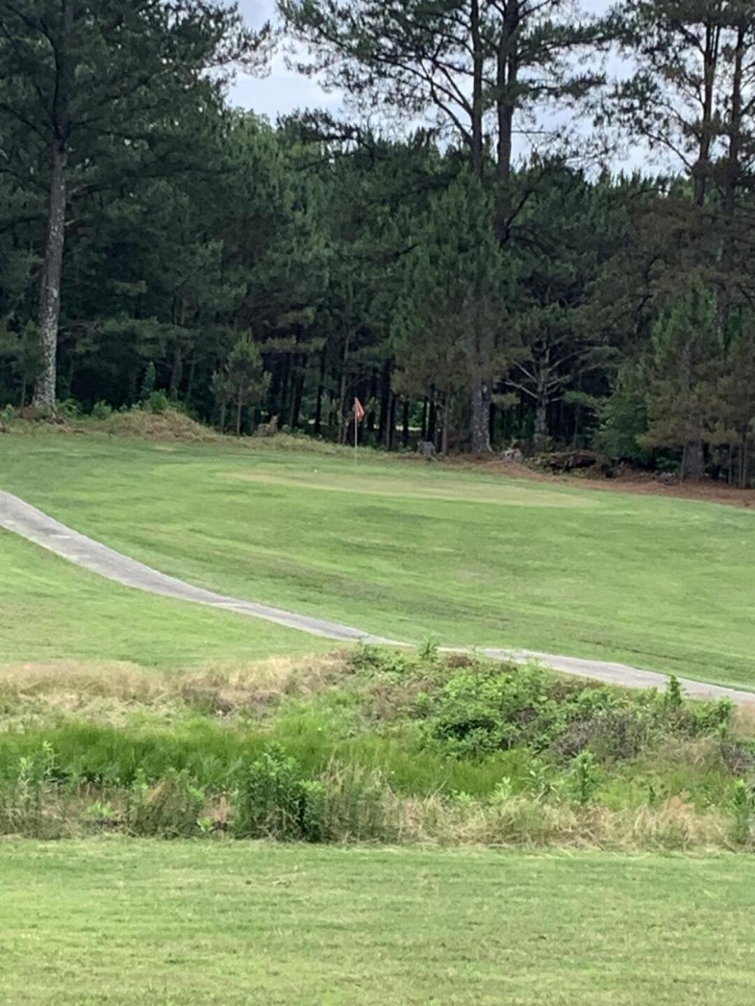 (Photo submitted by u314160872938 on 05/19/2024)