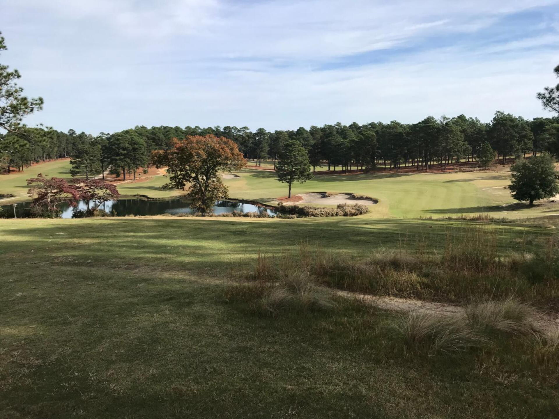 5th hole (Photo submitted by bpm1981 on 11/11/2019)