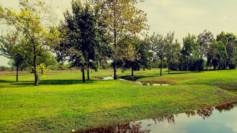 Tierra Dorada Club de Golf