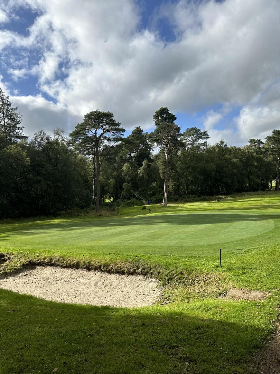 (Photo submitted by t1004214971 on 08/08/2024)