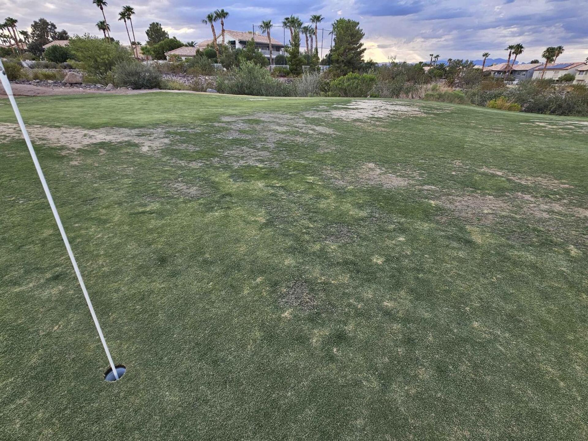 (Photo submitted by u314161622535 on 09/04/2025)