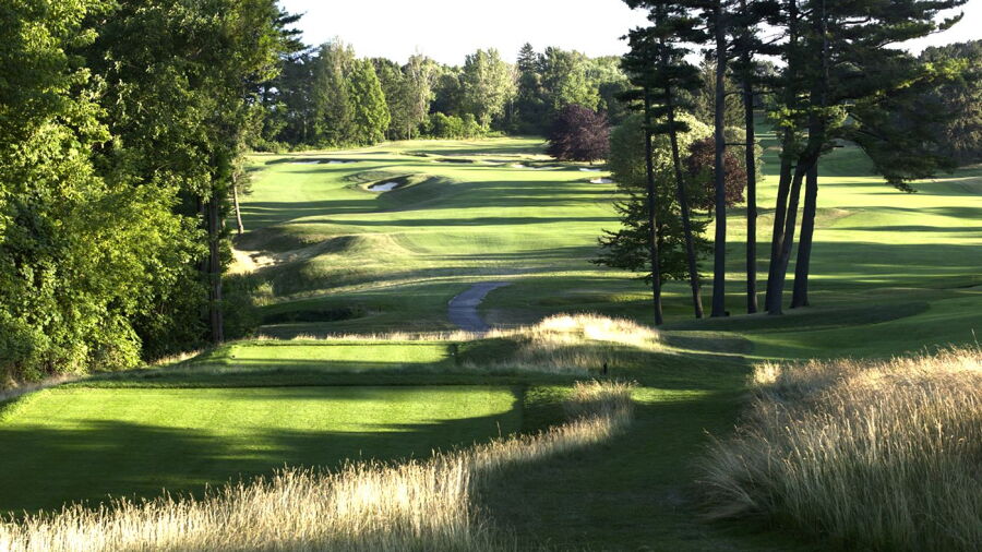 Toronto GC - Colt