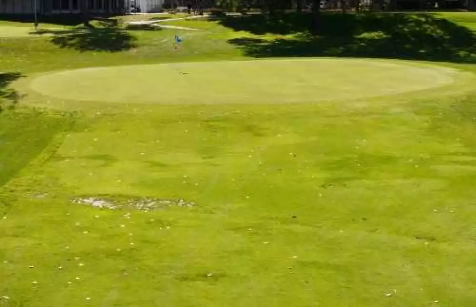 El Zagal Par 3 GC: #9