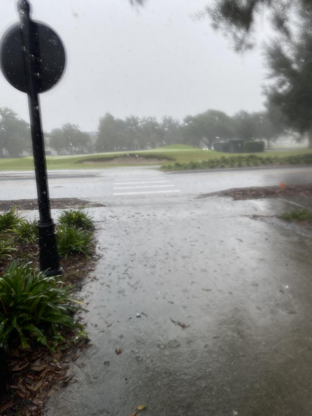 (Photo submitted by frnkxz11 on 11/06/2024)