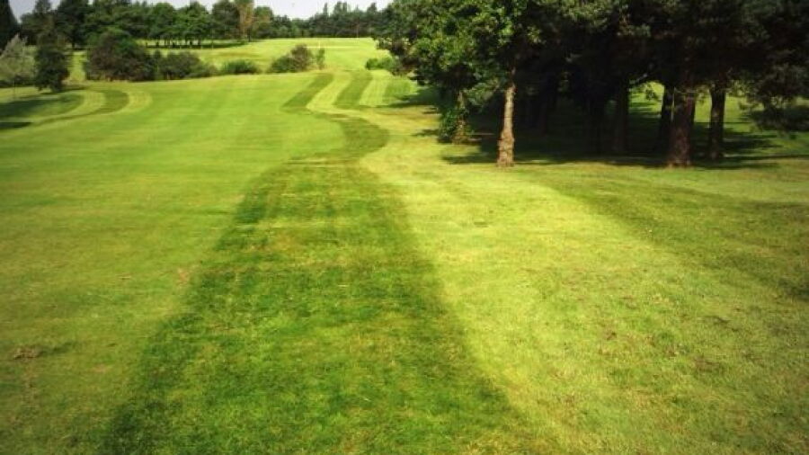 Werneth GC