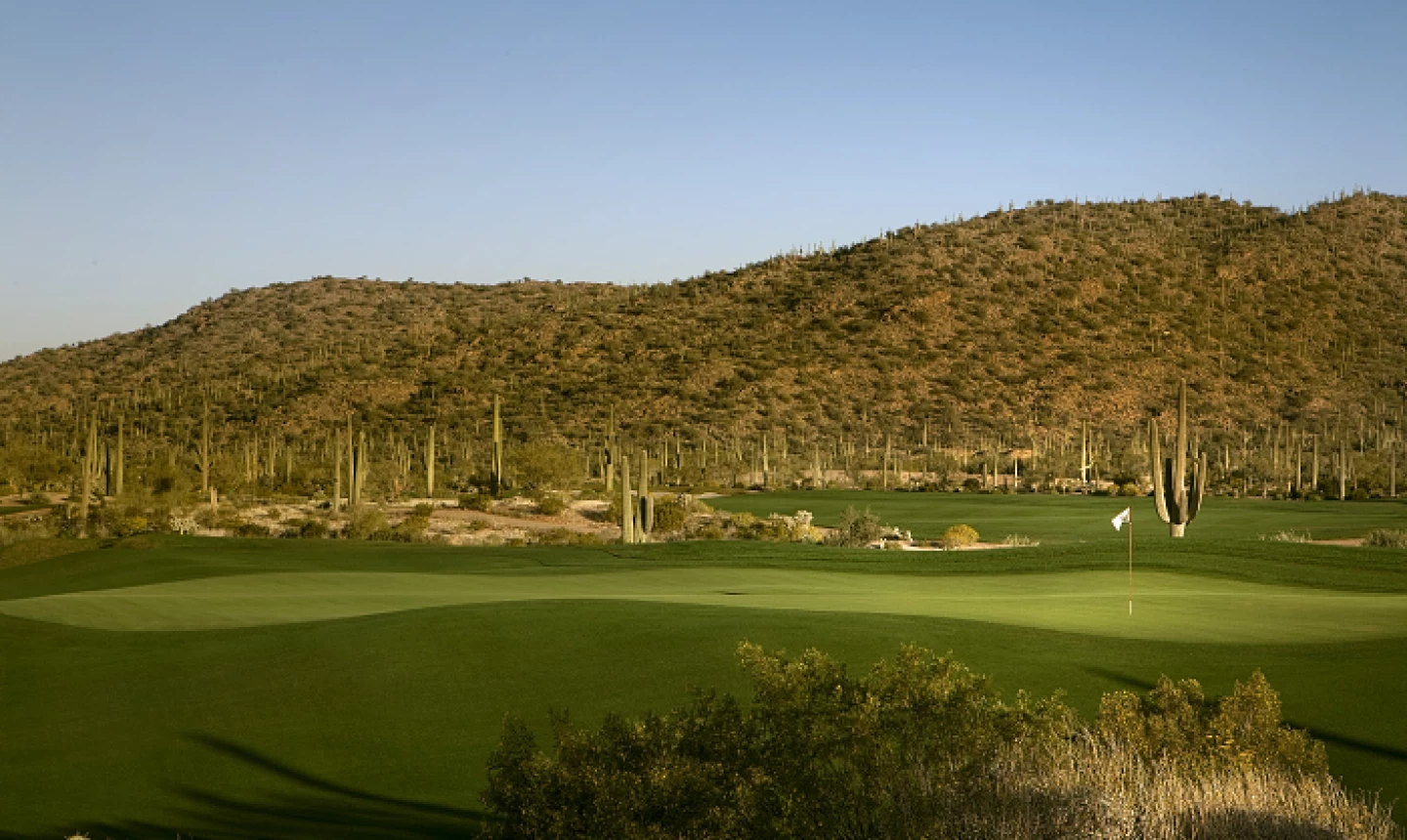 Ritz-Carlton GC: Saguaro - ninth hole