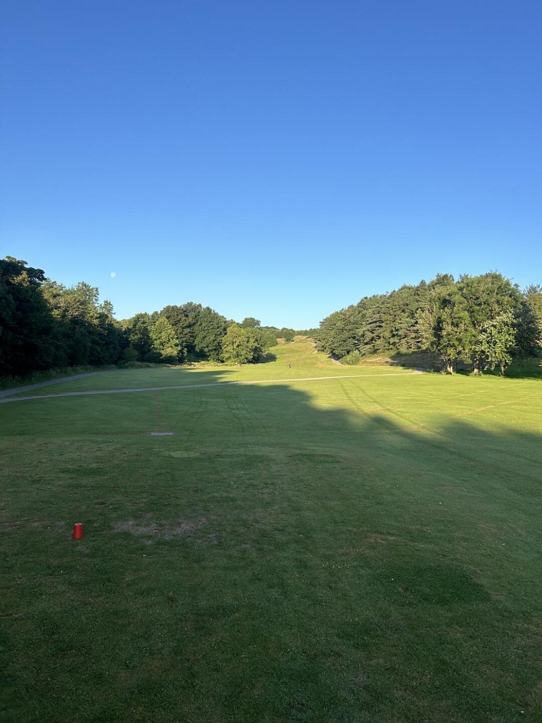 (Photo submitted by ReggieSam on 07/14/2025)