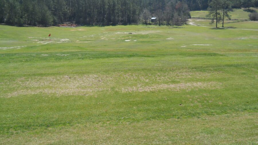 Lake Forest GC: Driving range