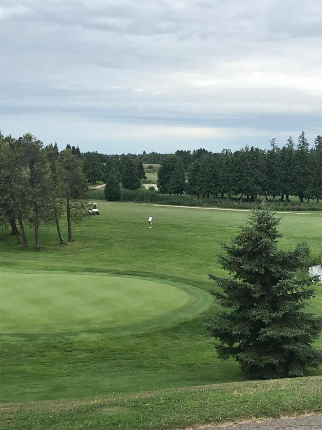 (Photo submitted by pstahre on 08/16/2019)