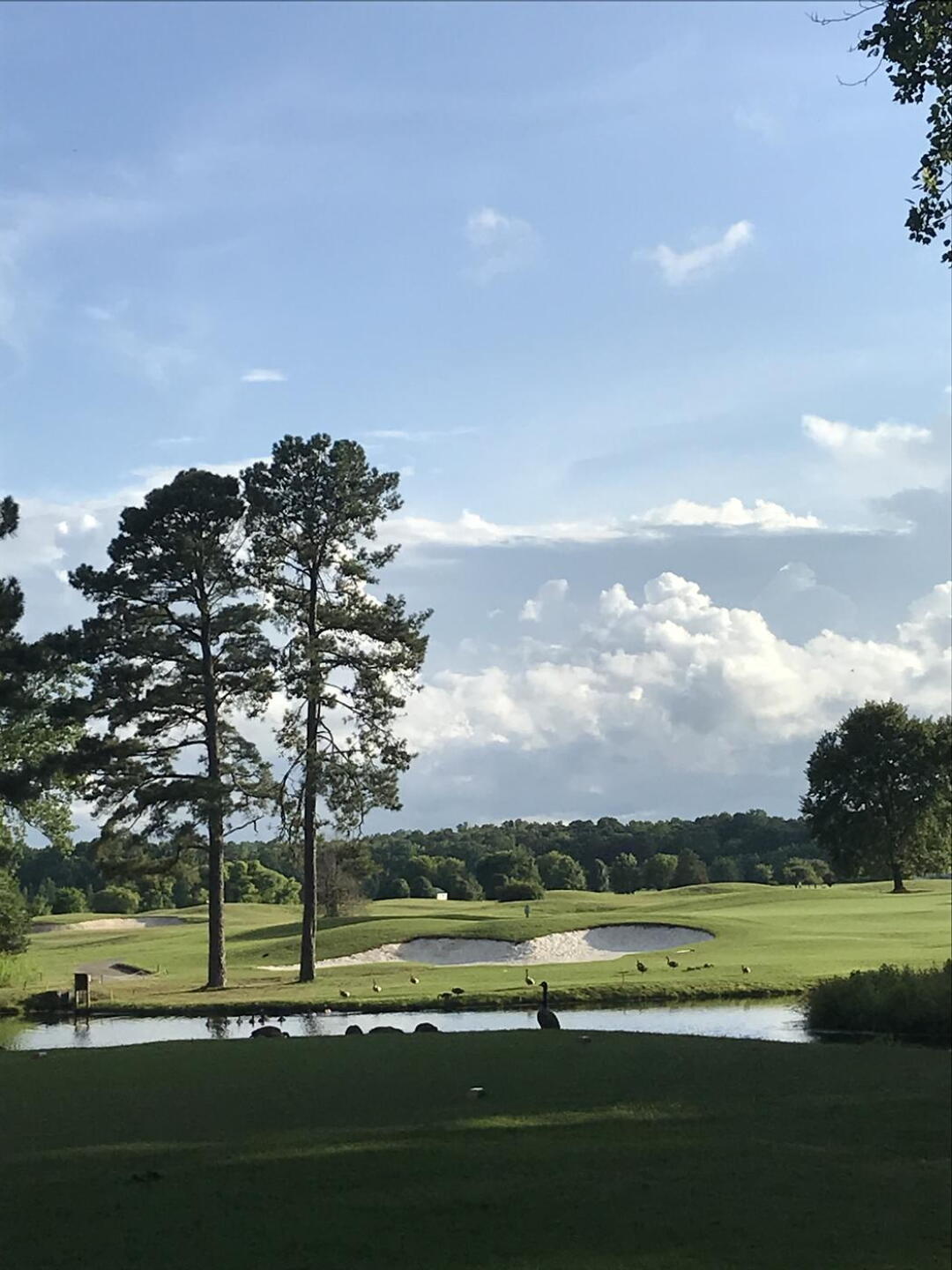 This is a par three overlooking the water! (Photo submitted by Martha6288409 on 06/30/2021)