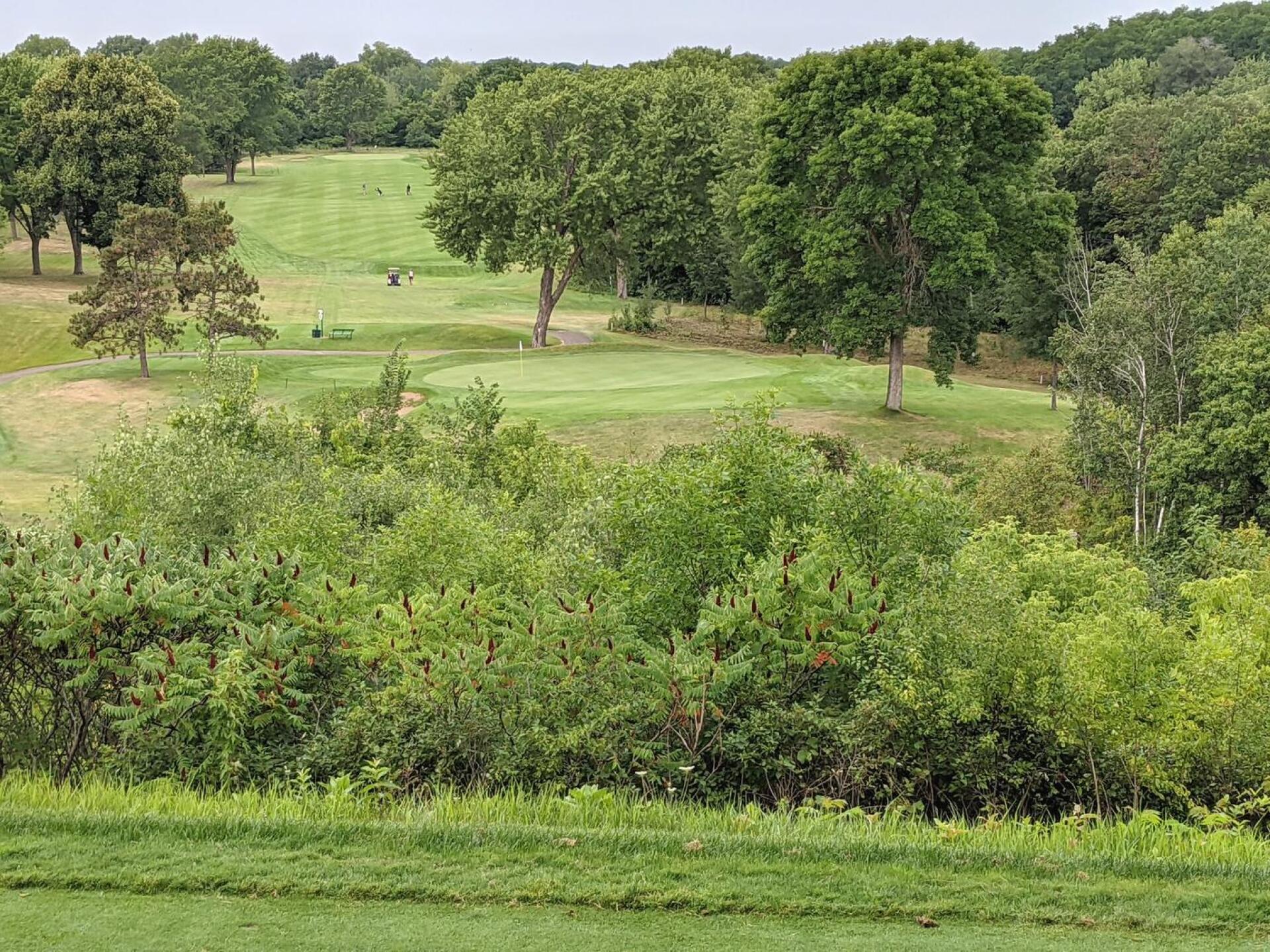 The view from the elevated 13th tee (Photo submitted by GolferJake78 on 08/03/2021)