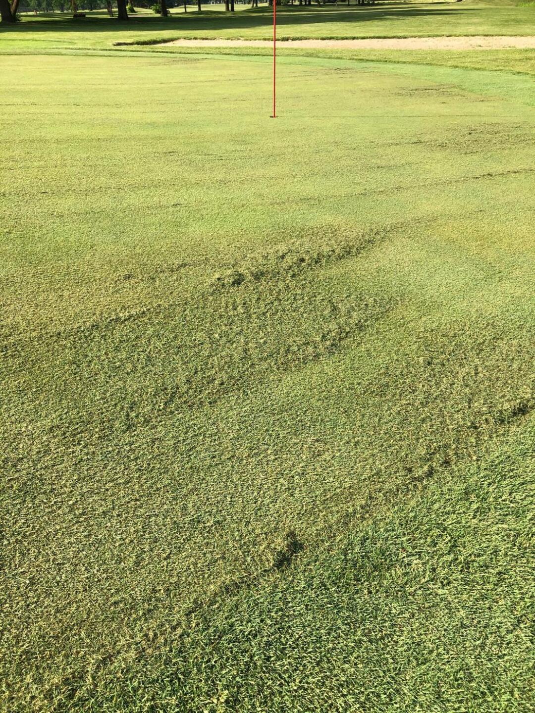 Greens running slow at 9:30 am! LOL (Photo submitted by Golftime1977 on 06/21/2020)