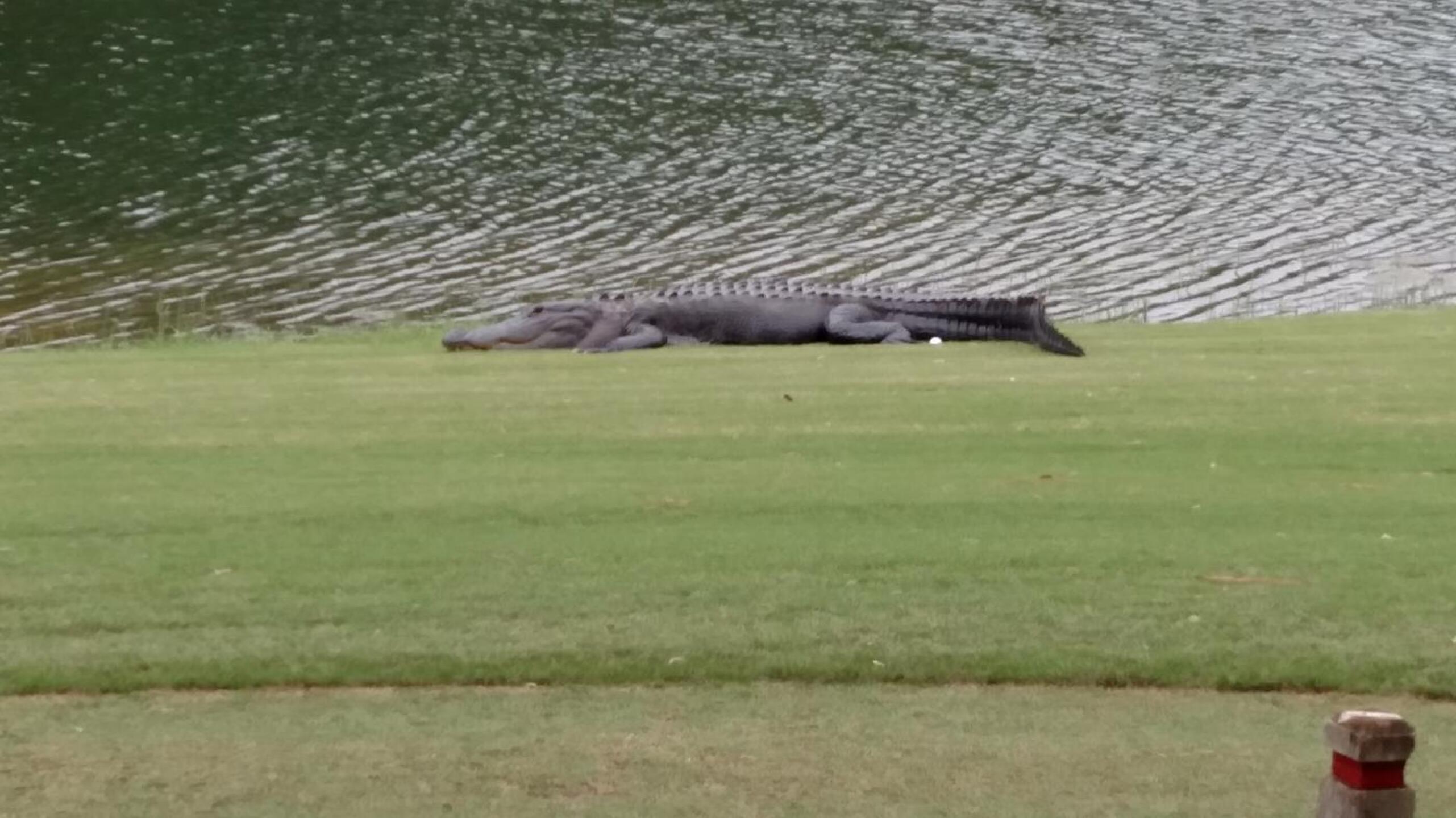 My wife's ball next to one of the hazards on #9. (Photo submitted by FlyingChief on 10/07/2015)