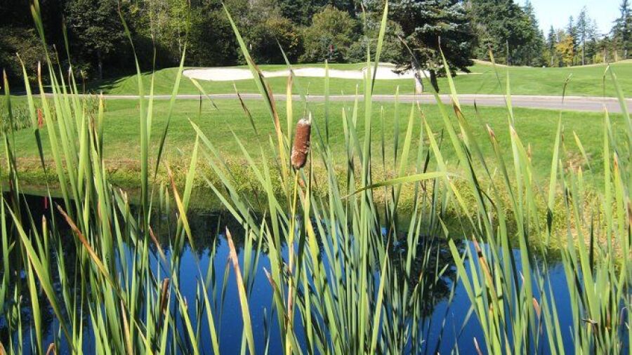 The Reserve Vineyards & Golf Club - South: #4