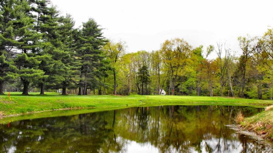 Woodstock GC: #4