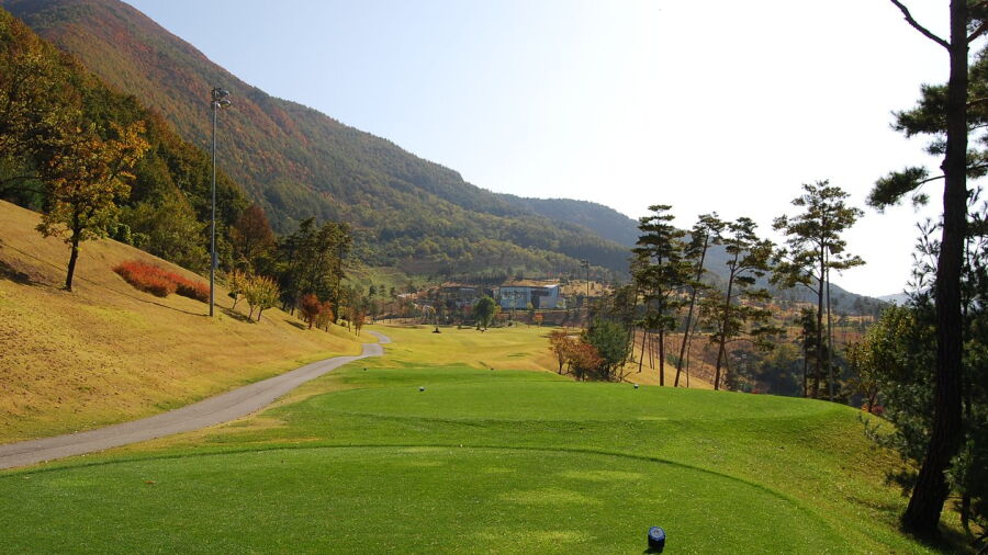Black Valley CC - Black/Valley: #18