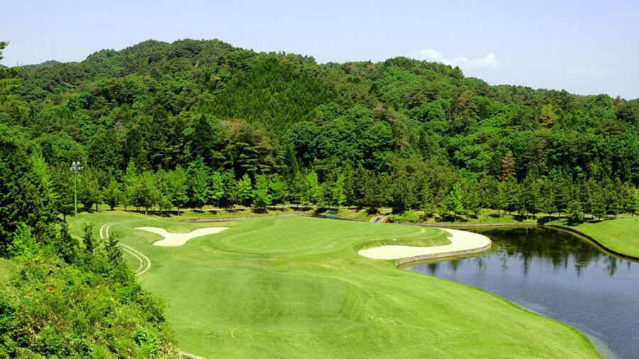 Daily Shigaraki Golf