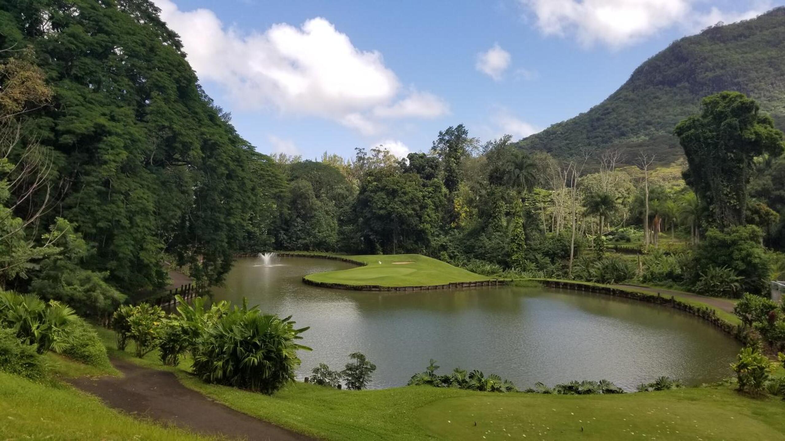 (Photo submitted by LionIrons1001 on 10/02/2021)