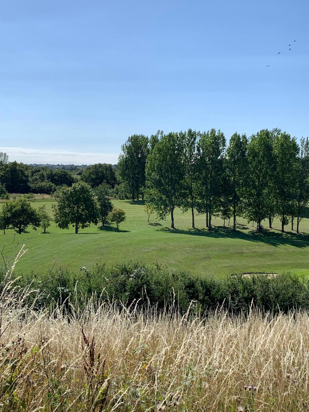 (Photo submitted by u314160495545 on 07/26/2020)