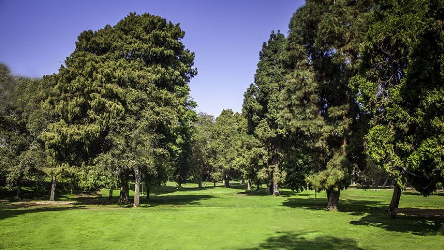 Los Feliz 3-Par GC