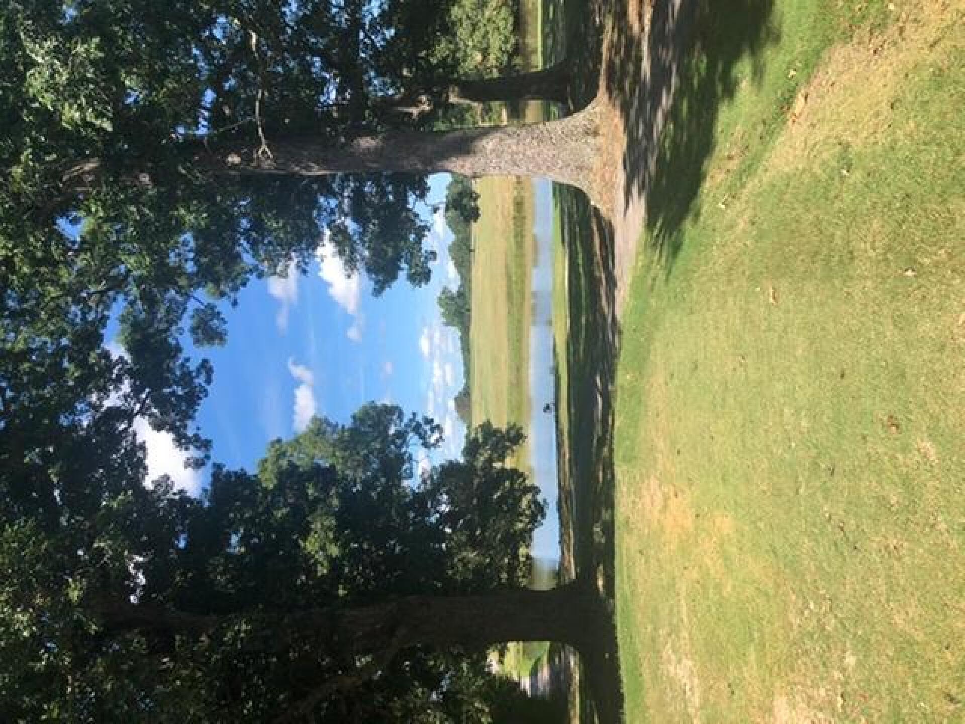 (Photo submitted by Prpich on 07/23/2020)