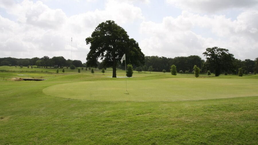Sulphur Springs CC