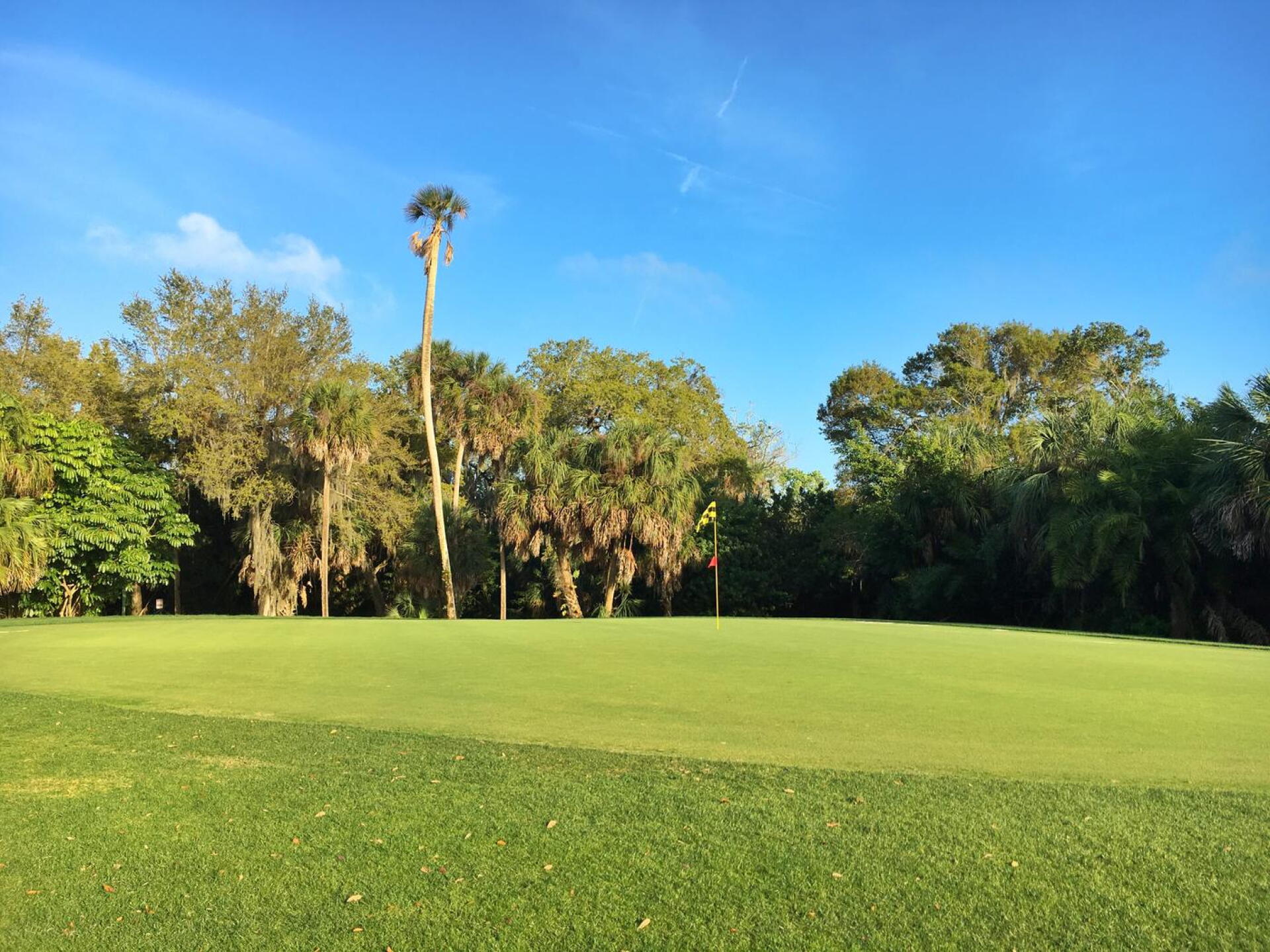 (Photo submitted by oldheadgolf on 03/09/2021)