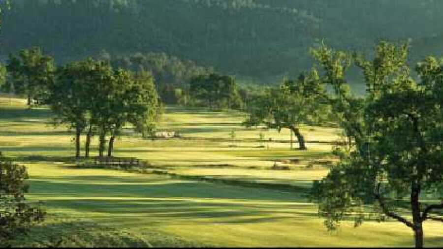 Aetna Springs GC