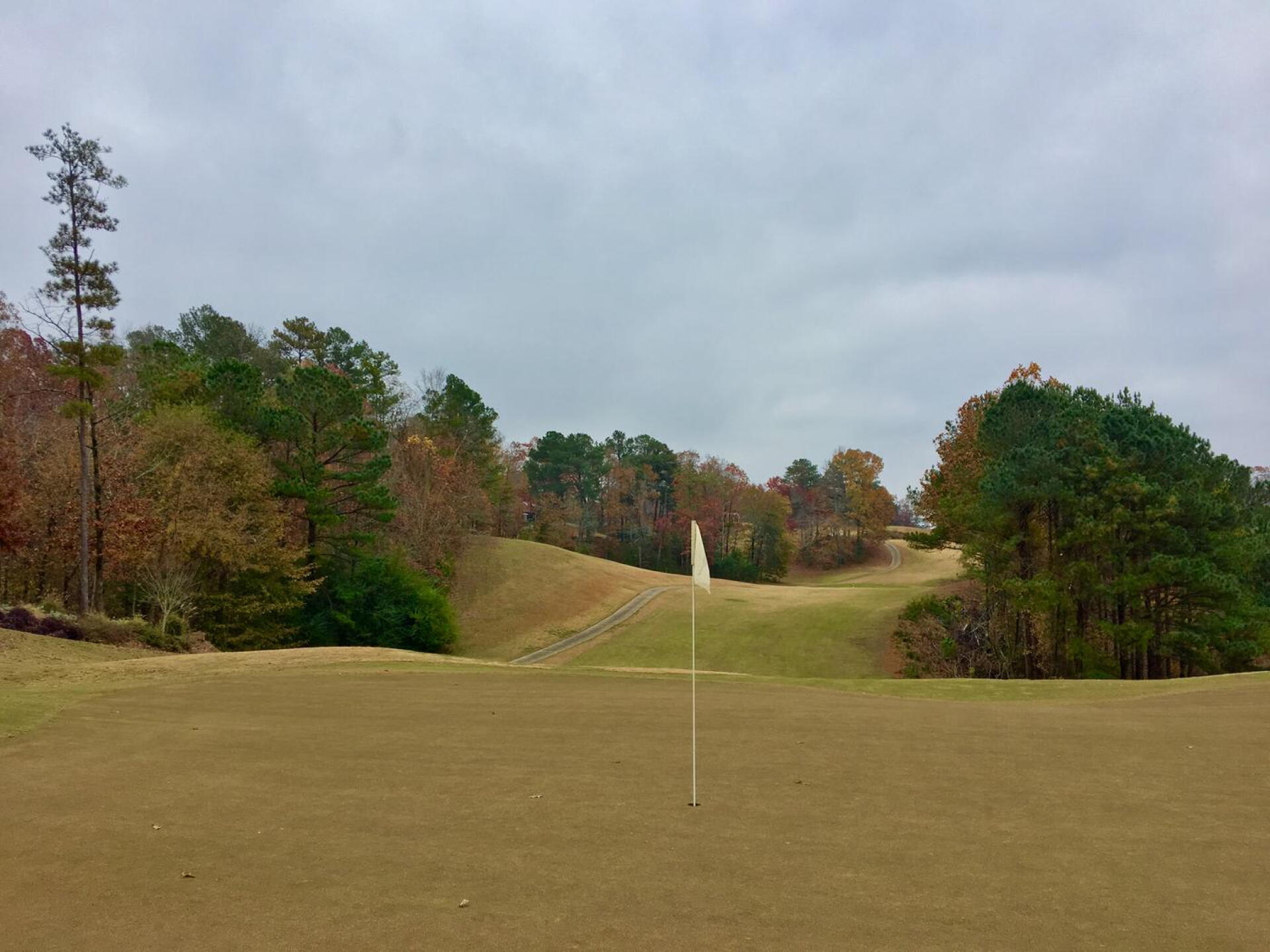 From behind eighth green. (Photo submitted by BrandonWebb on 12/01/2017)