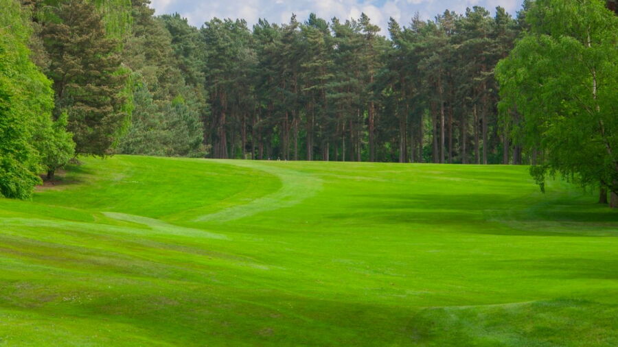 Market Rasen GC