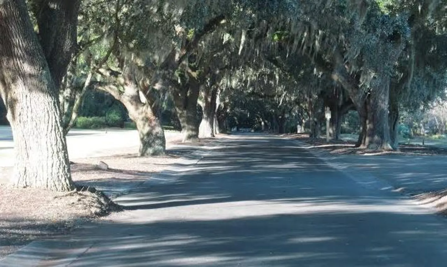 Caledonia Golf and Fish Club - drive