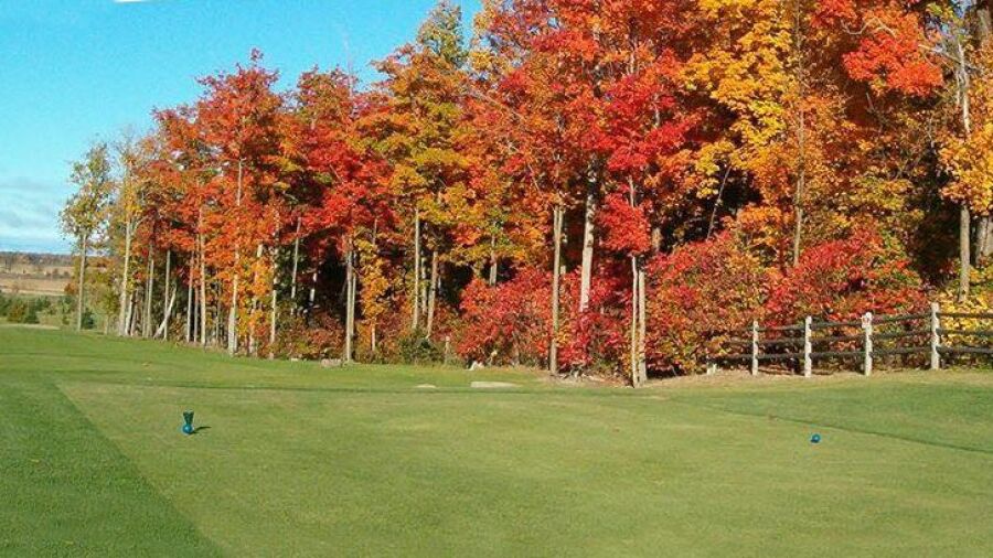 Glengarry G & CC