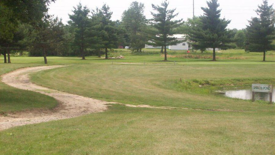 Willow Tree GC: #6